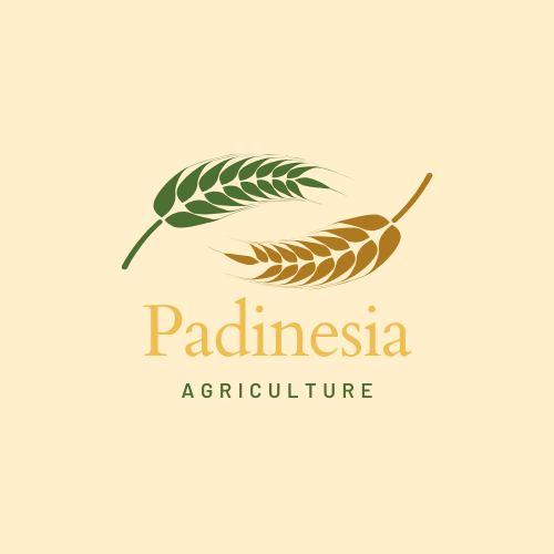 Vendor Banner