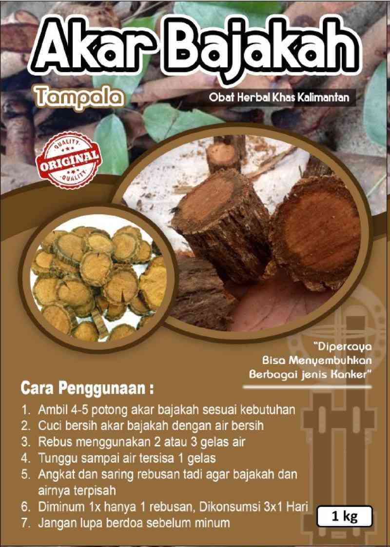 Kayu Bajakah