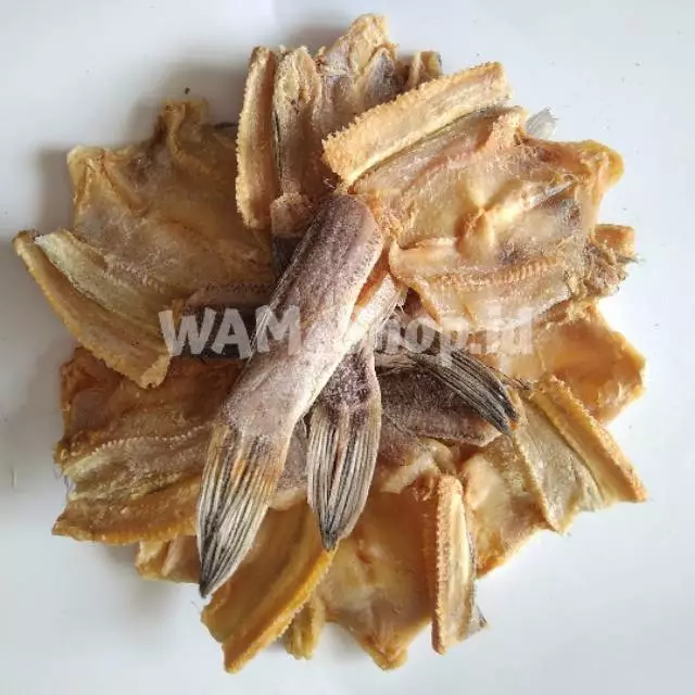 IKAN KERING GABUS