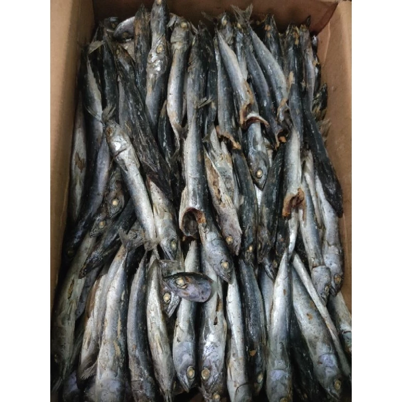 IKAN ASIN TONGKOL