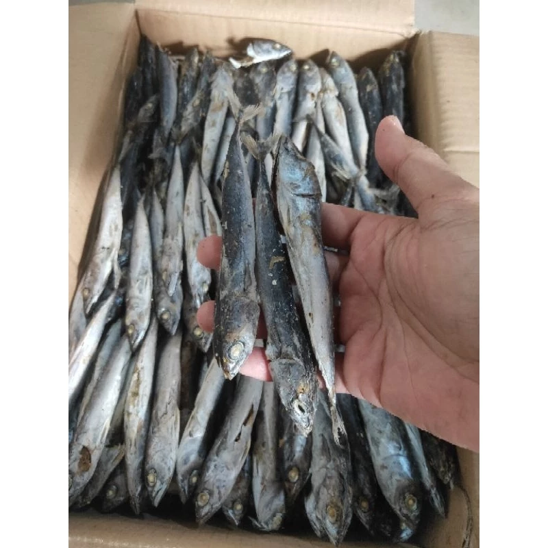 IKAN ASIN TONGKOL